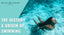 Origin of Swimming