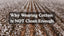 conventional cotton