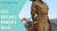 Fall Organic Women's Wear