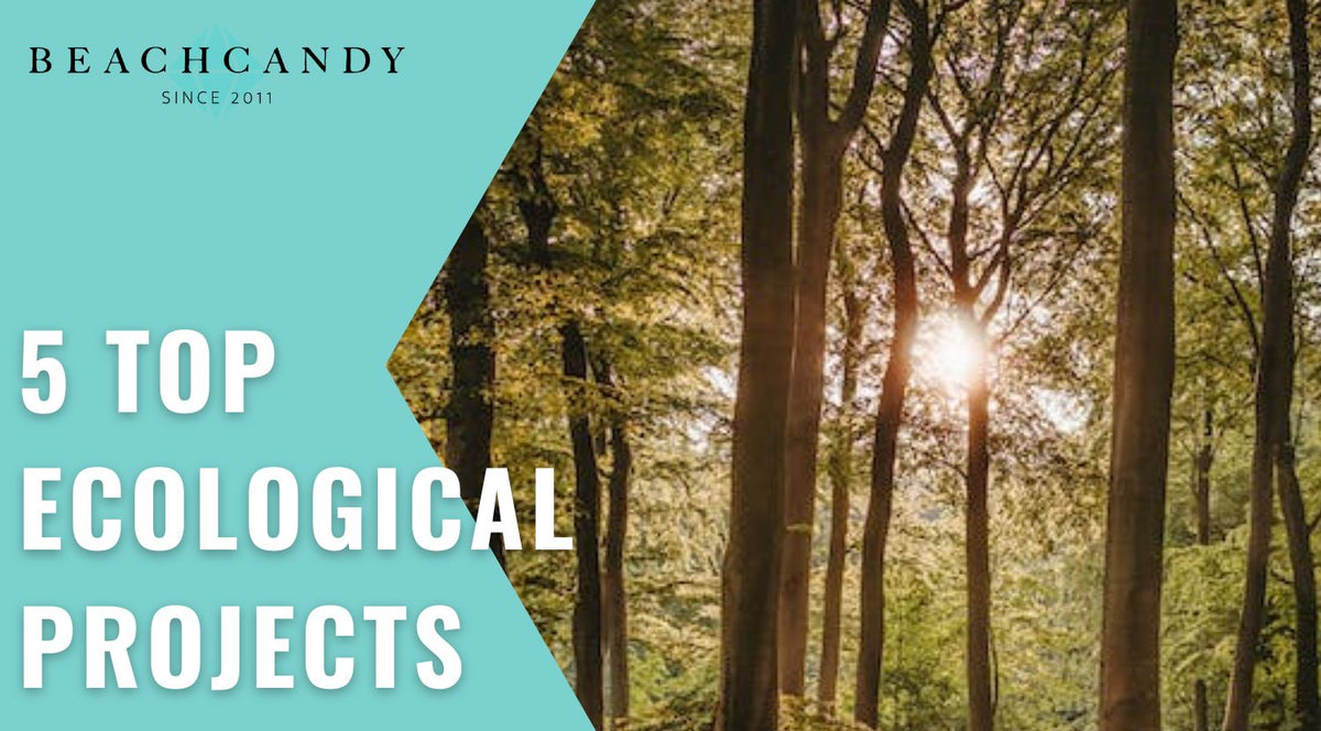 Important Projects 5 Top Ecological Projects | Important Environmental & Social Projects ...