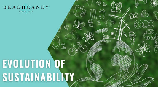 Evolution of Sustainability