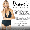 BeachCandy Swimwear Dianes Beachwear