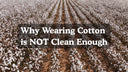 conventional cotton