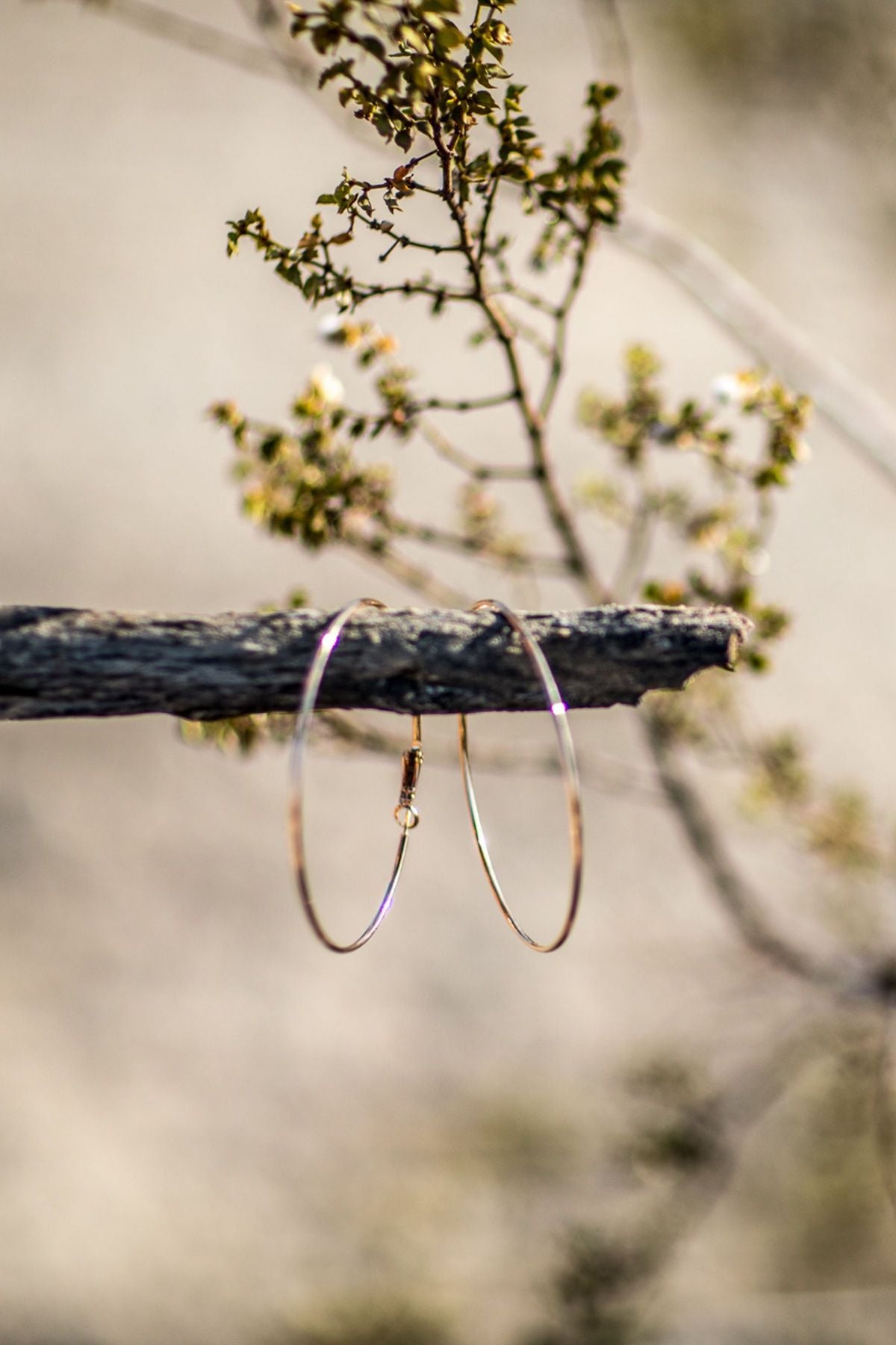 classic hoop earrings